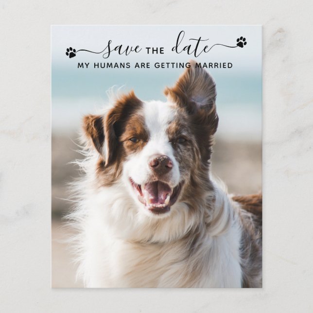 Cartes de mariage pour chien avec code QR pour pho (Devant)