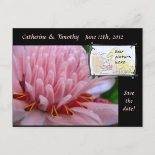 Cartes de mariage "Save the Date" avec photo perso