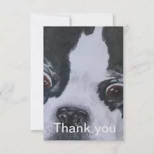 Cartes de Merci de Boston Terrier