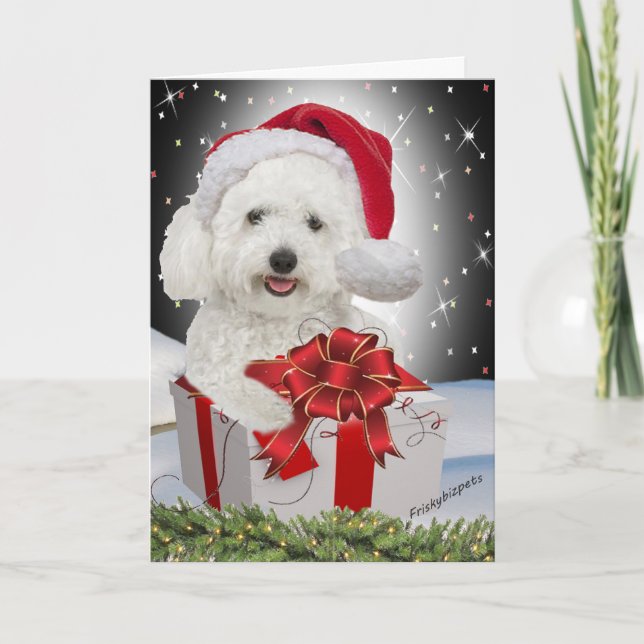 Cartes de Noël Bichon (Devant)