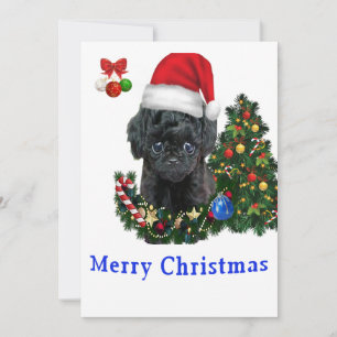Cartes de Noël Caniche