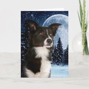 Cartes de Noël Collie Bordure