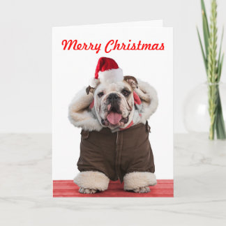 Cartes de Noël de Bulldog amusantes et mignonnes