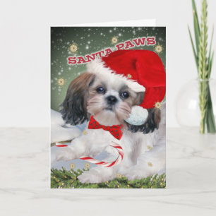 Cartes de Noël de pattes de Shih Tzu Père Noël