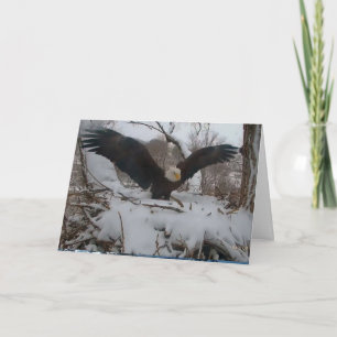 Cartes de Noël des aigles de Decorah