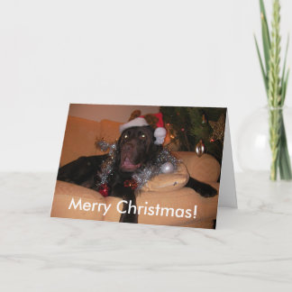 Cartes de Noël du Labrador au chocolat