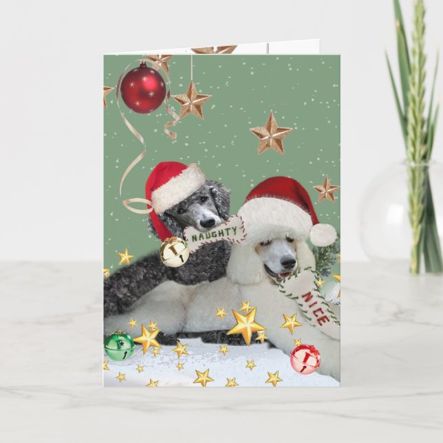 Cartes De Noël Naughty Ou Nice Poodé (Devant)