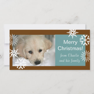 Cartes de Noël pour chien en forme de flocons de n