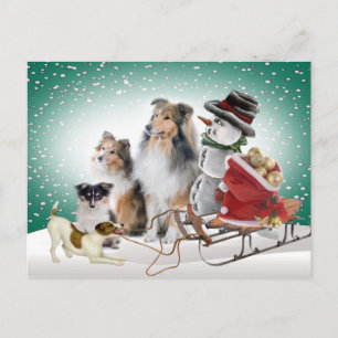 Cartes de Noël Sheltie, Jack Russell et Snowman