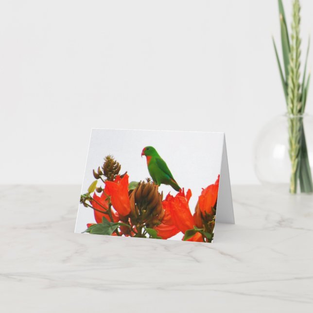 Cartes de note avec le perroquet exotique sur les (Devant)
