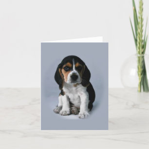 Cartes de note de beagle