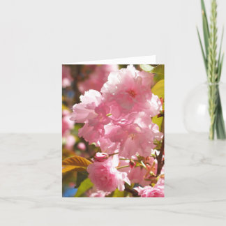 Cartes de note de fleurs de cerisier