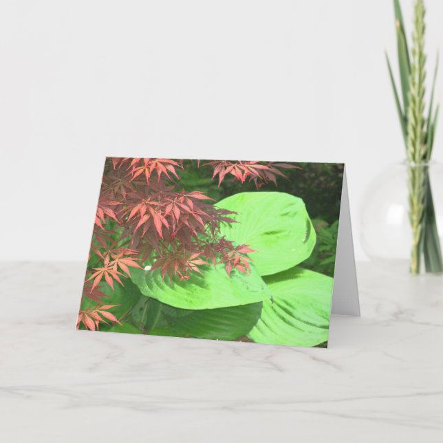 Cartes de note de Hosta de N d'érable (Devant)