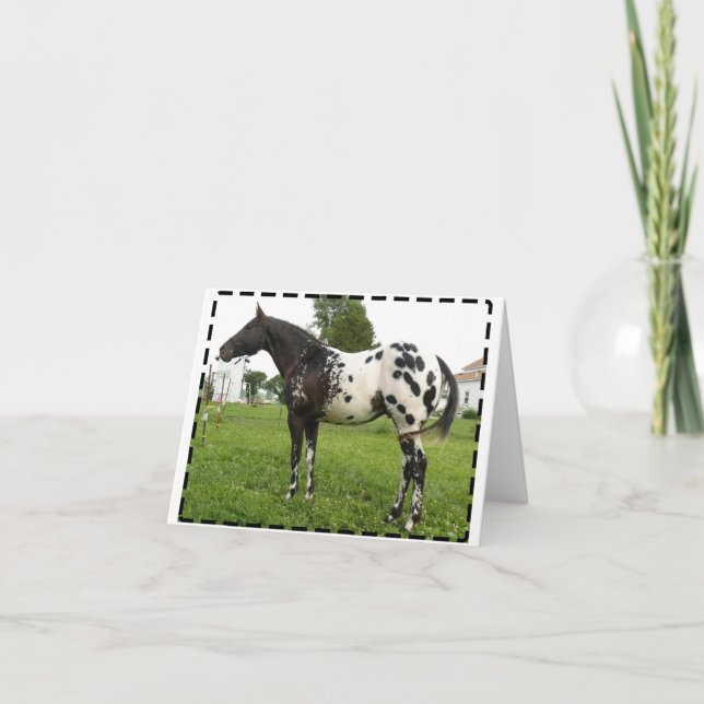 CARTES DE NOTE DE JET D'ABEILLE DE BOOGIE (Devant)