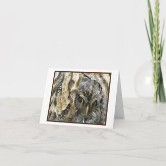 Cartes de note de la Chouette