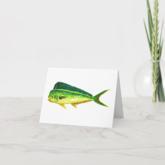 CARTES DE NOTE DE SPORTFISH