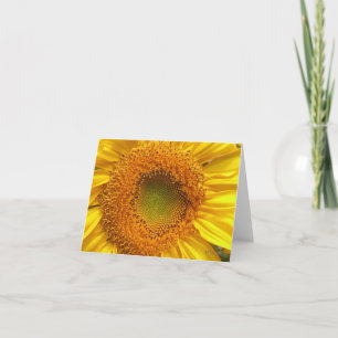Cartes de note de tournesol