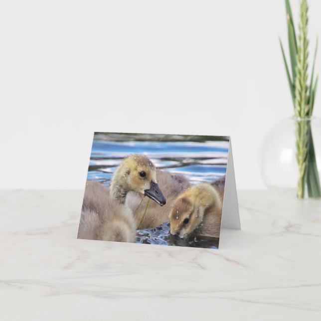 Cartes de note d'oisons (Devant)