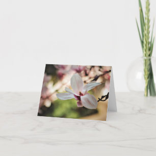 Cartes de note douces de magnolias