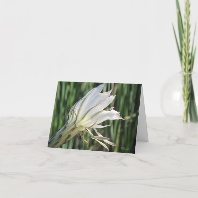 Cartes de note Fleur Cactus (Devant)
