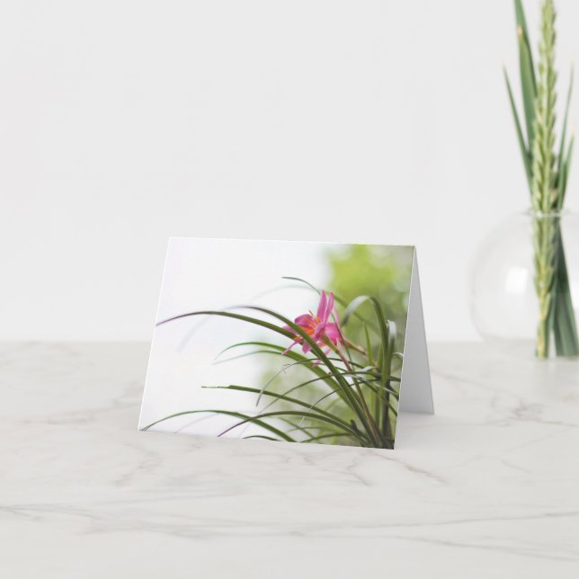 Cartes de note magiques de lis féerique (Devant)