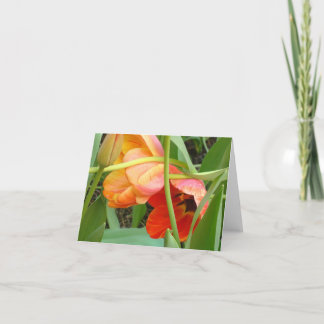 Cartes de note oranges de sculpture en tulipe