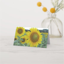 Cartes de note pliées par tournesol gai
