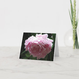 Cartes de note roses classiques de pivoine