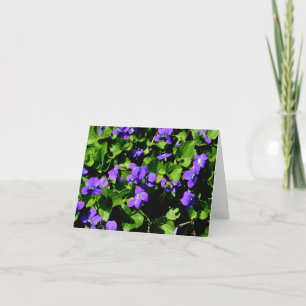 Cartes de note violettes