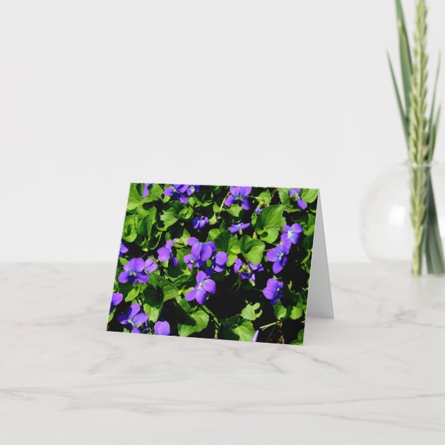 Cartes de note violettes (Devant)