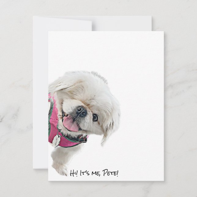 Cartes de notes avec Peter Rottentail (Devant)