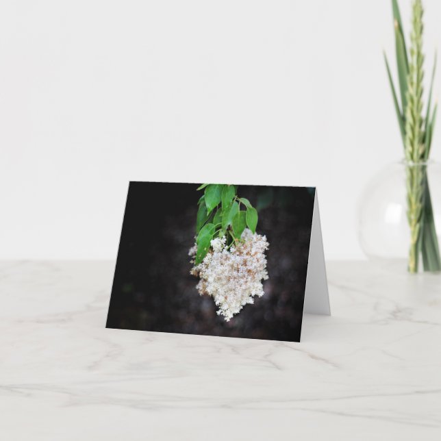 Cartes de notes cardiaques Lilac (Devant)