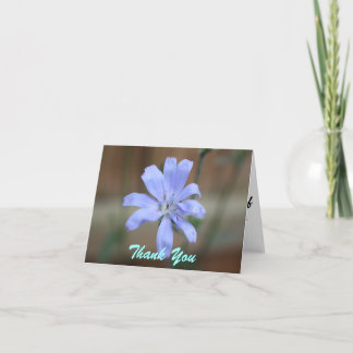 Cartes de notes chicorées