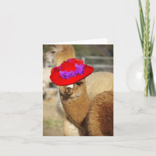 Cartes de notes Cute Alpaca