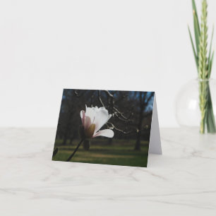 Cartes de notes d'art fin Blush Magnolia Bloom – É
