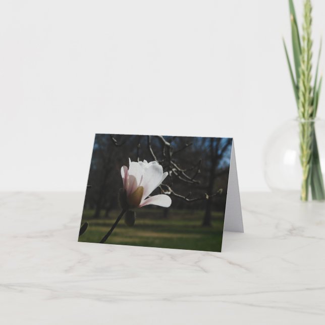 Cartes de notes d'art fin Blush Magnolia Bloom – É (Devant)