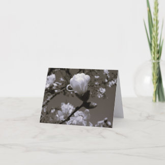 Cartes de notes de fleur de magnolia vintage – Cot