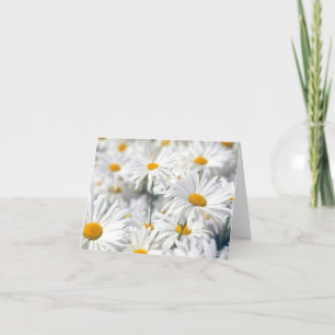 Cartes de notes de marguerite