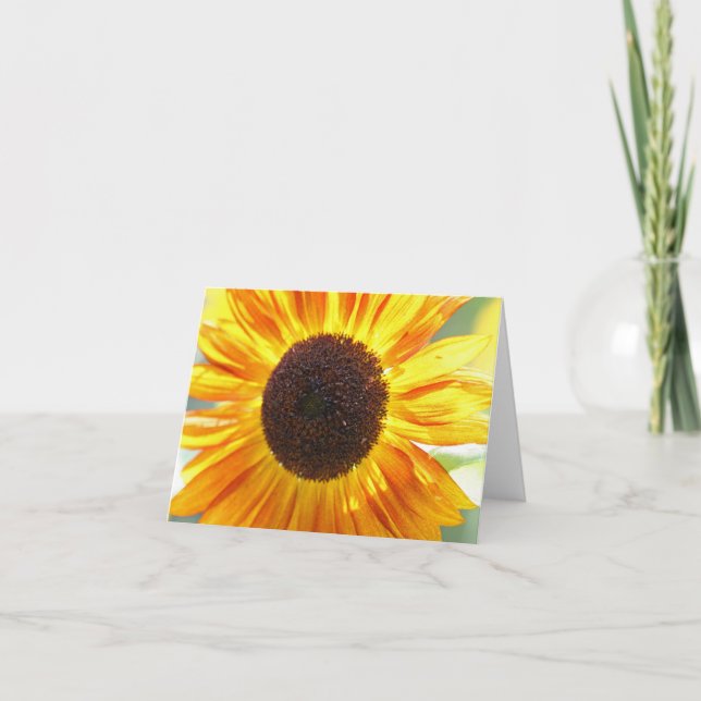 Cartes de notes de tournesol jaune (Devant)