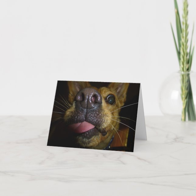 Cartes de notes Doggie Kisses (Devant)