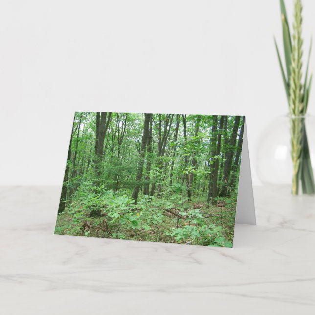 Cartes de notes du mont Nittany (Devant)