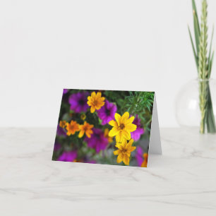 Cartes de notes en blanc couleur été