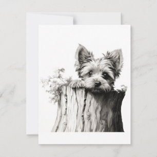Cartes de notes en blanc Yorkie