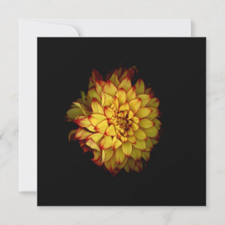 Cartes de notes et cartes de vœux Dahlia