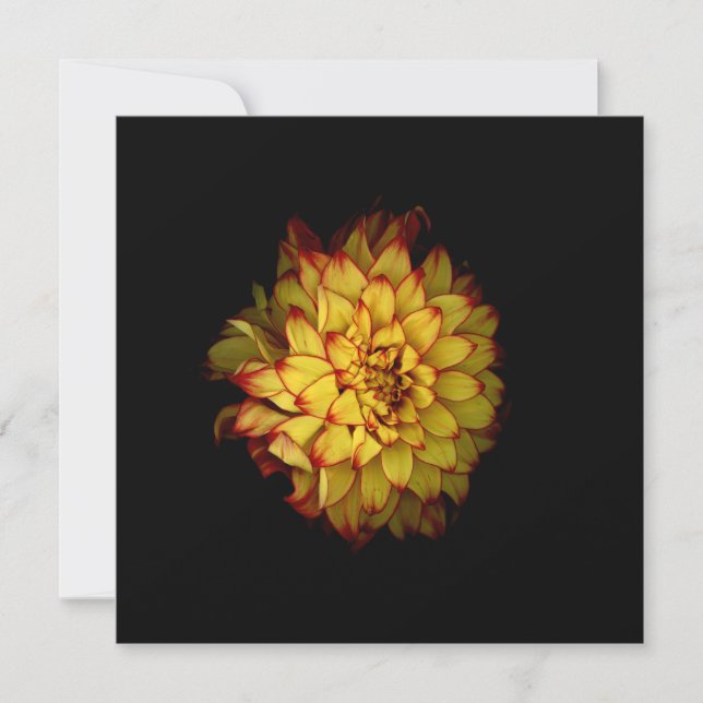 Cartes de notes et cartes de vœux Dahlia (Devant)