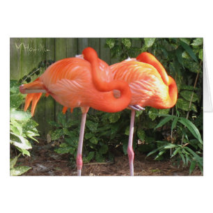 Cartes de notes Flamants roses roses