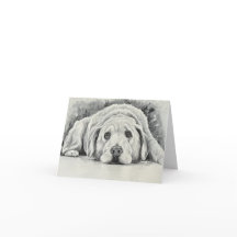 Cartes de notes Golden Retriever