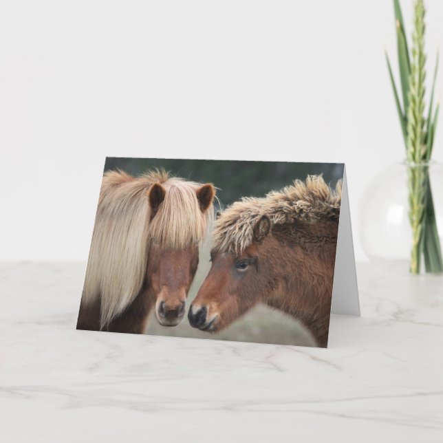 Cartes de notes islandaises pour chevaux (Devant)