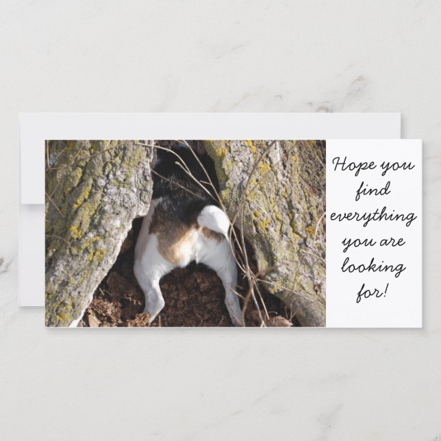 Cartes de notes Jack Russell (Devant)