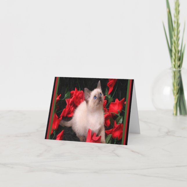 Cartes de notes Kitty en Rose (Devant)